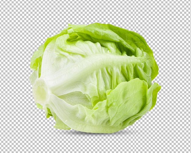 PSD baby cos lettuce on alpha layer