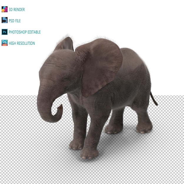 Baby Elephant 3D Render PSD