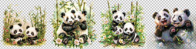 Baby pandas in whimsical poses