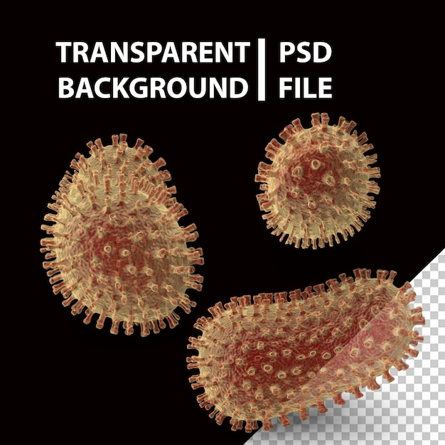 PSD bacillus bakterie png