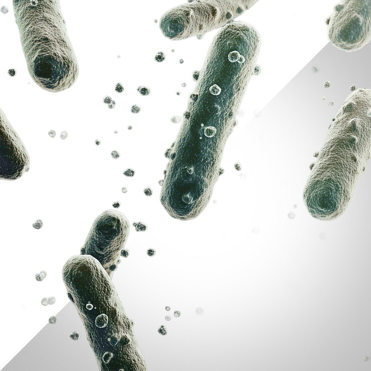 PSD bacteria isolated on transparent background