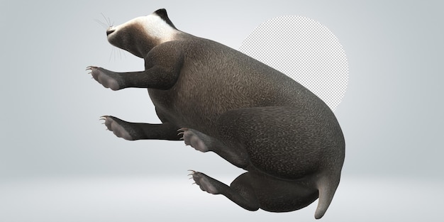 PSD badger isolated on a transparent background