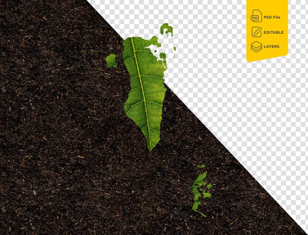 Bahrain map made of green leaves on soil background ecology concept 3d illustration