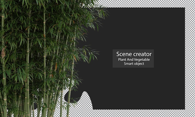 PSD bamboo plants isolated, bambusa boniopsis clipping path