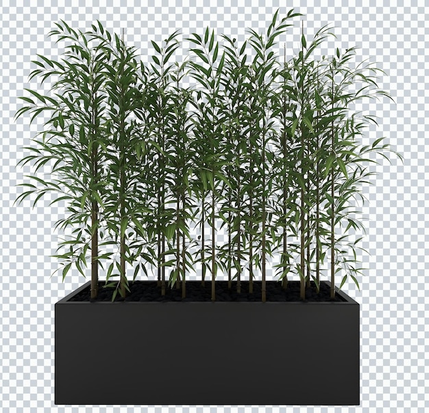 PSD bamboo potted on green concrete plants mockup