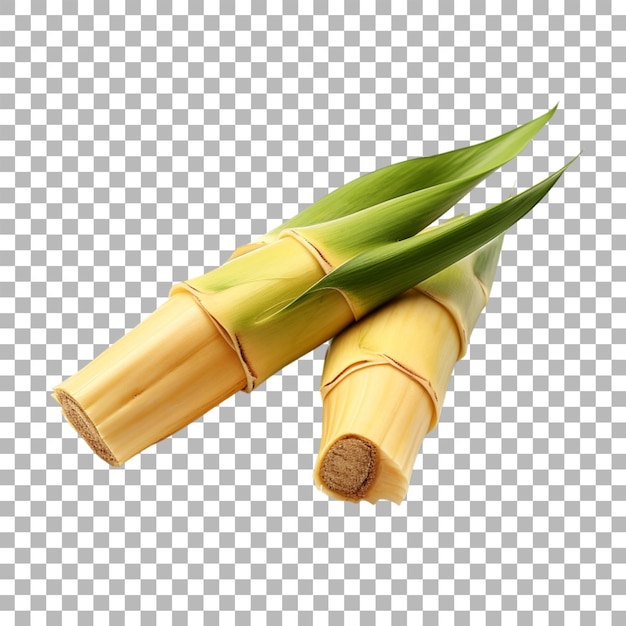 PSD bamboo shoots on transparent background