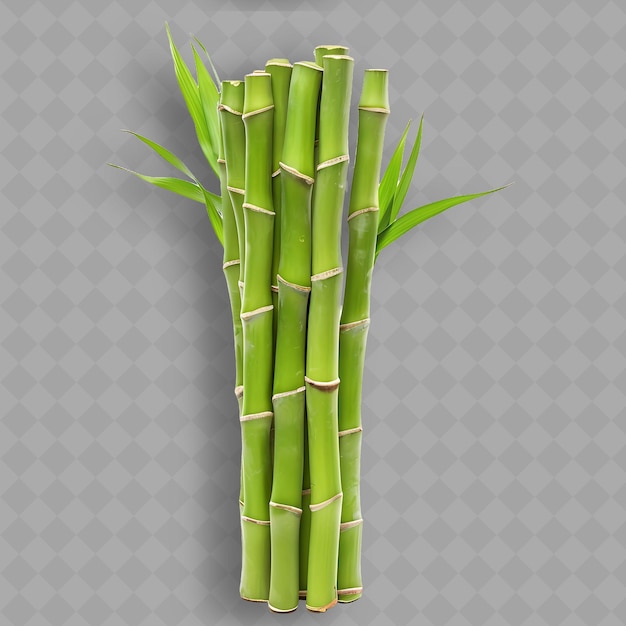 Bamboo sticks with a background of a transparent background