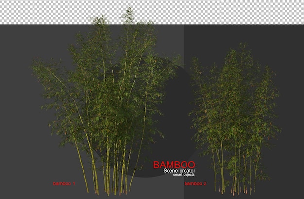 PSD bamboo trees of various sizes