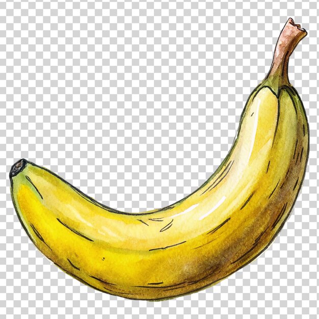 PSD arte della banana isolata su uno sfondo trasparente