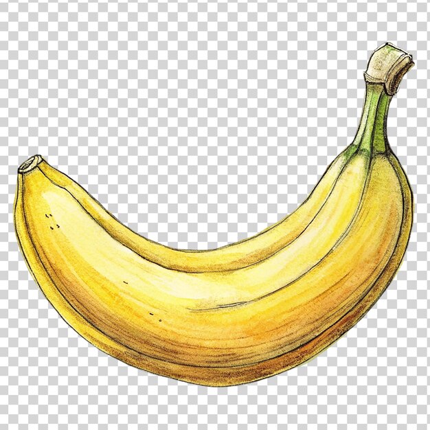 PSD arte della banana isolata su uno sfondo trasparente