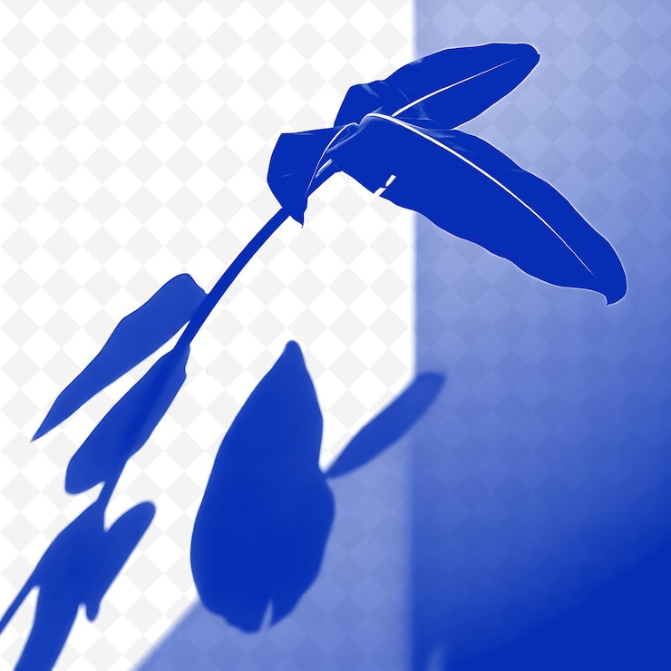 PSD banana leaves shadow casting large broad shapes smooth flowing lines with a tropical vibe
