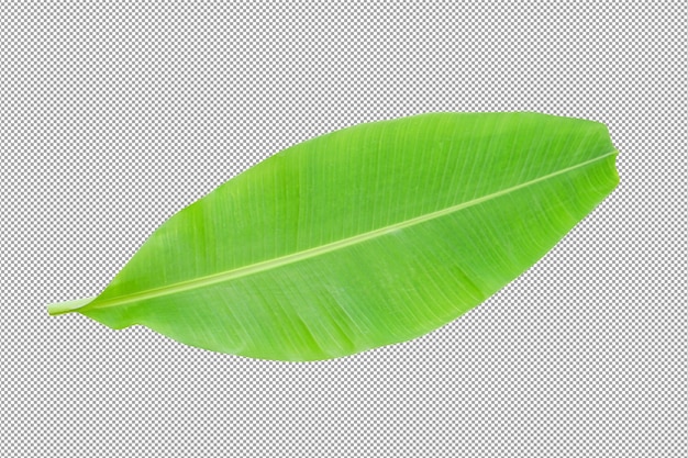 banana leaves