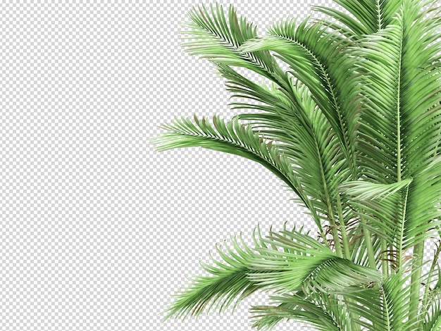 PSD 分離された 3 d レンダリングのバナナの植物