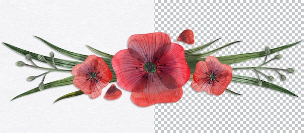 Baner Z Papaver Kwiatowy Winieta Maku. Akwarela Ręcznie Rysowane Sztuki Botanicznej