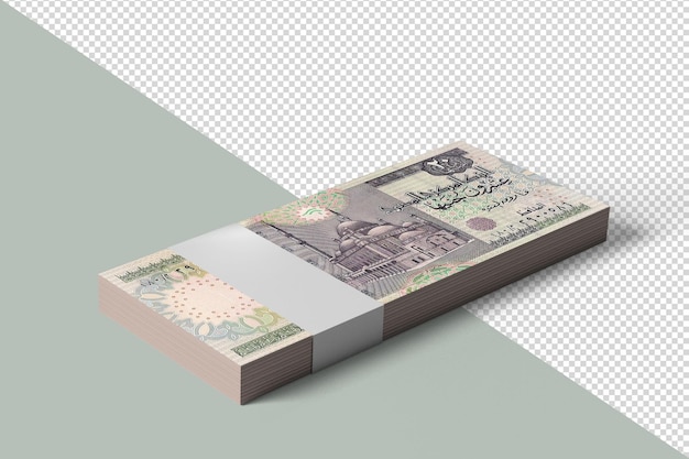 Banknotes of the egyptian pound twenty egyptian pounds front realistic money isolated