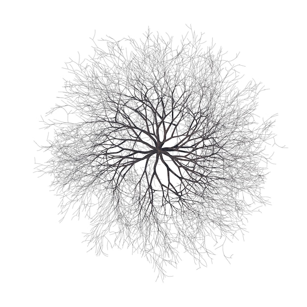 裸の桜の木分離透明な背景 3 d レンダリング
