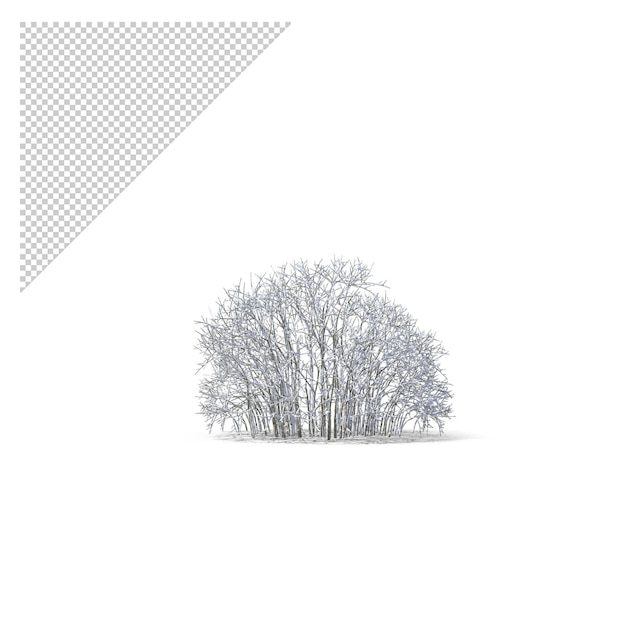 PSD bare tree covered in snow png