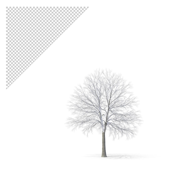 PSD 벌거 벗은 나무 png