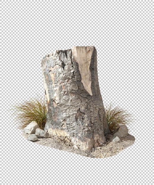 PSD bark stump dead tree clipart op transparante achtergronden 3d rendering