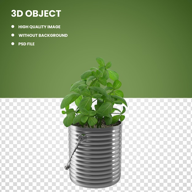 PSD basil plant potted