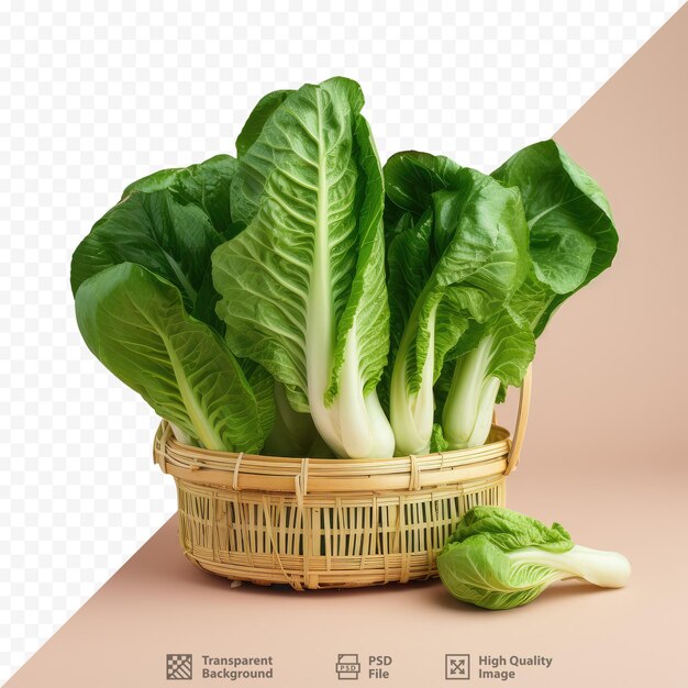 PSD basket of bok choy isolated on transparent background