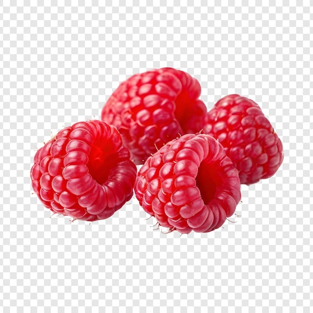 Başlıksız1