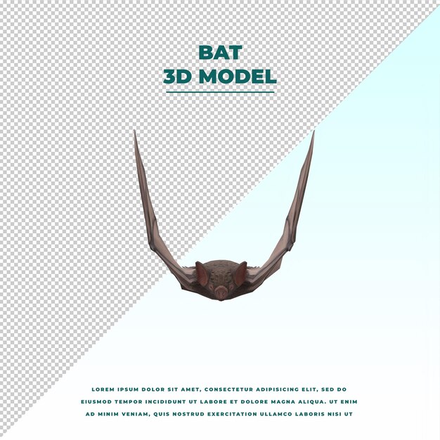 Bat isolated