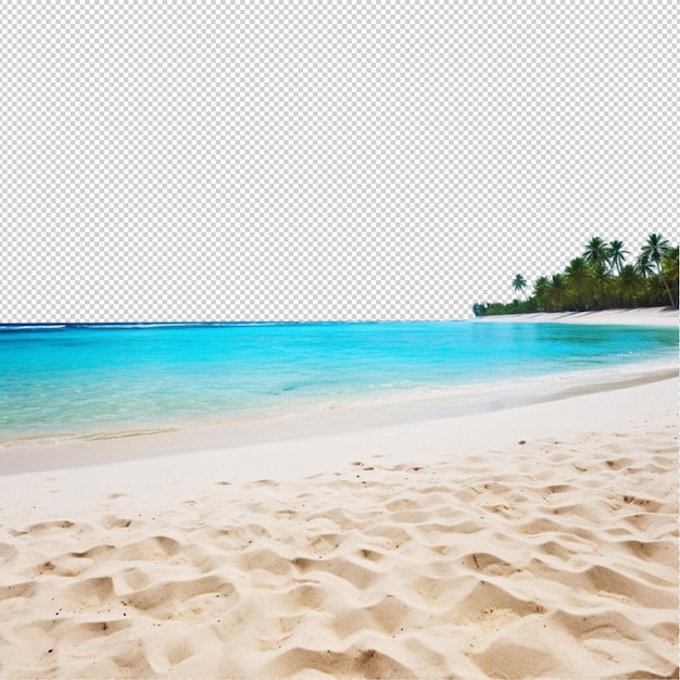 PSD spiaggia e isola di sabbia