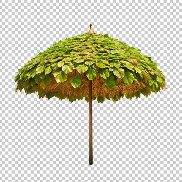 Beach umbrella with leaf