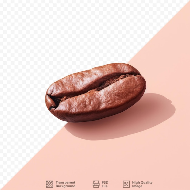 Bean used for coffee