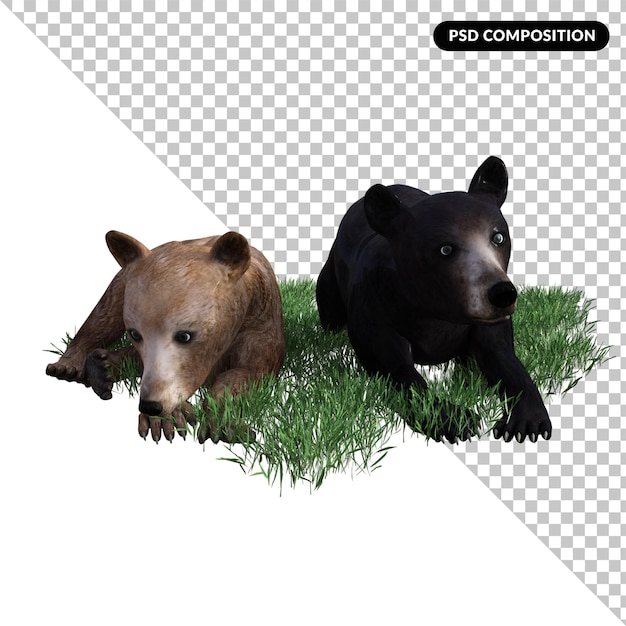 PSD bear and friends animal isolated 3d