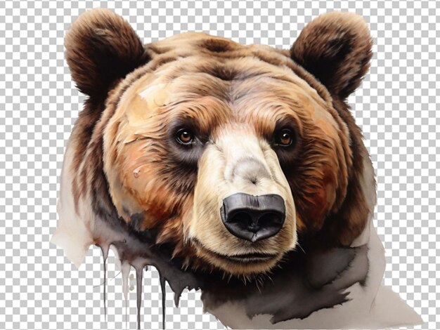 Bear png