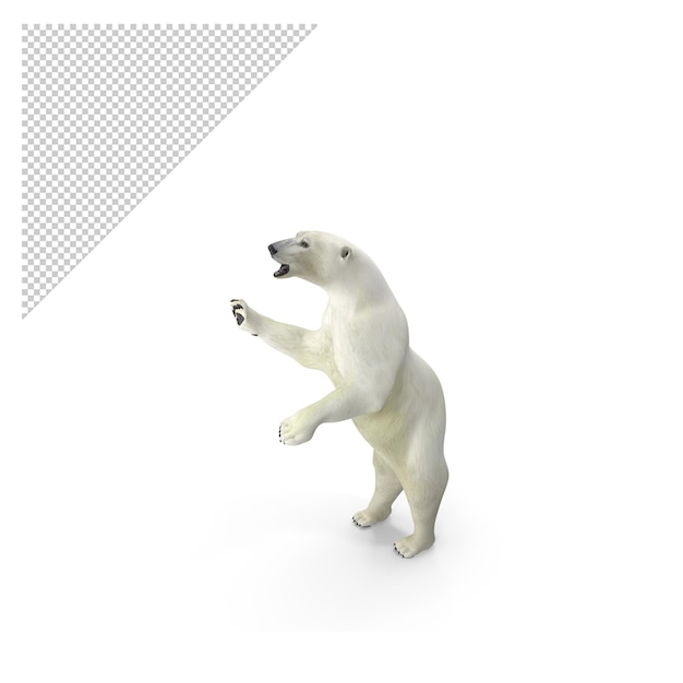 PSD クマのポーズpng