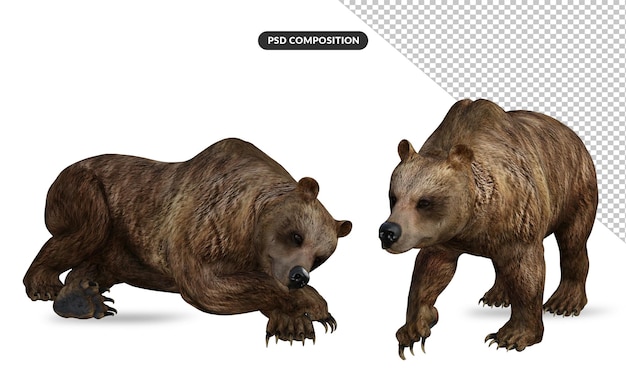 PSD orso in posa carino rendering 3d