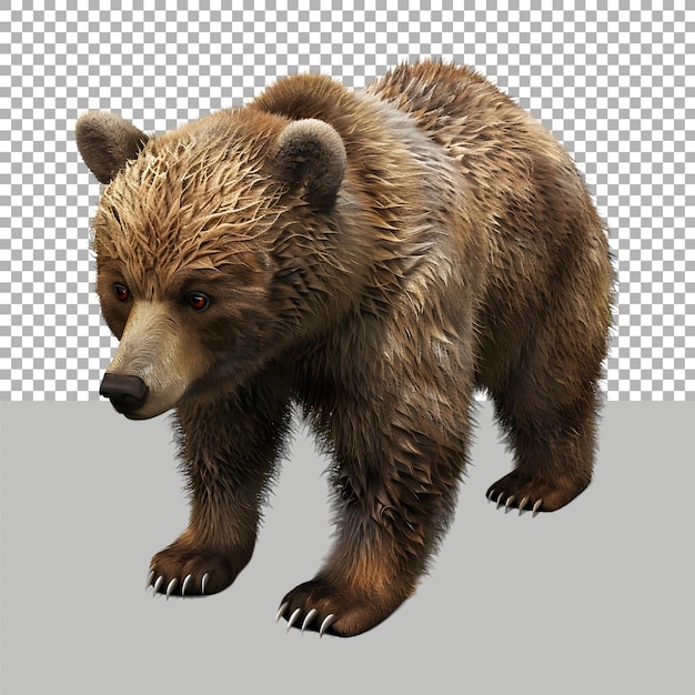 PSD bear standing on transparent background ai generated