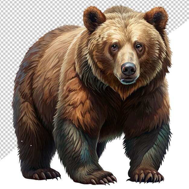 PSD bear on transparent background