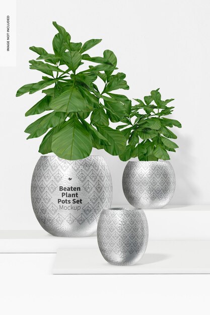 PSD beaten plant pots set with plants mockup