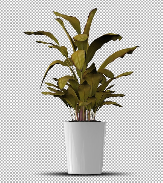 Красивое 3d реалистичное растение в изолированном горшке