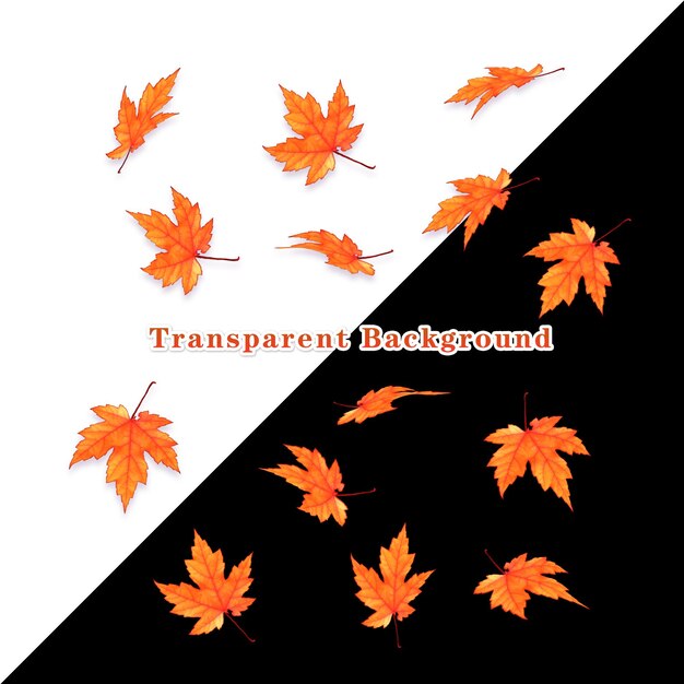 PSD beautiful autumn leaves with multiple angles