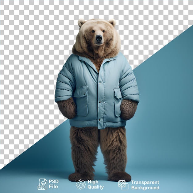 Beautiful bear isolated on transparent background include png file