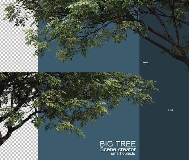 PSD beautiful big tree branches foreground