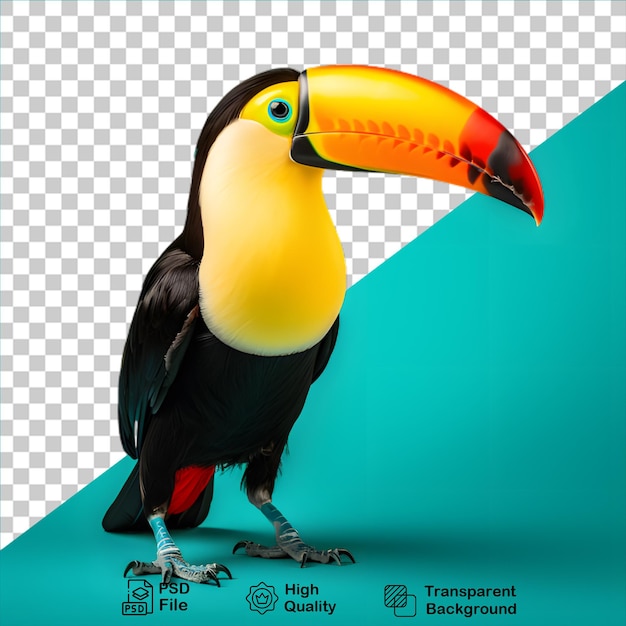 Beautiful bird toucan isolated on transparent background include png file