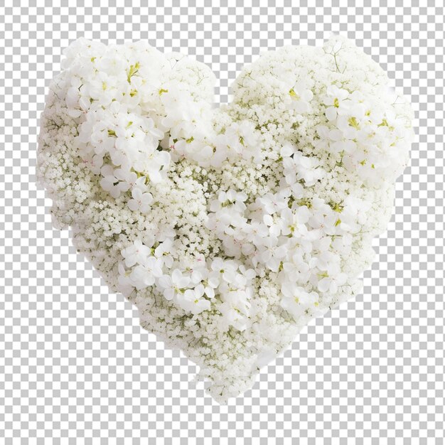 PSD bellissimo bouquet di fiori baby39sbreath a forma di cuore bianco