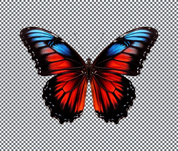 PSD beautiful butterfly isolated on transparent background