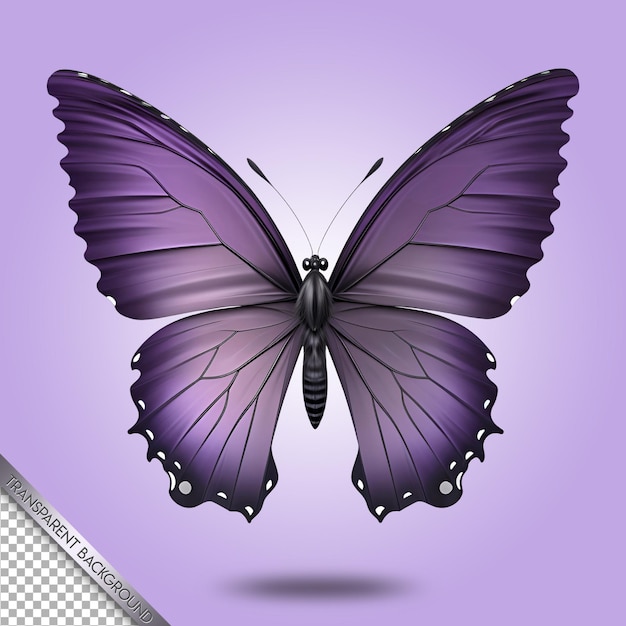 beautiful butterfly transparent background