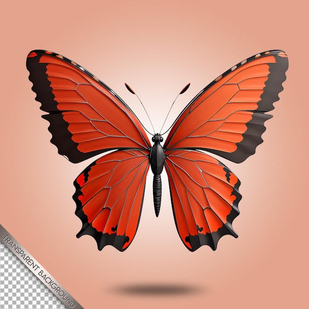 Beautiful butterfly transparent background