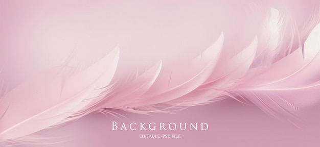 Beautiful Colorful color feathers as background closeup