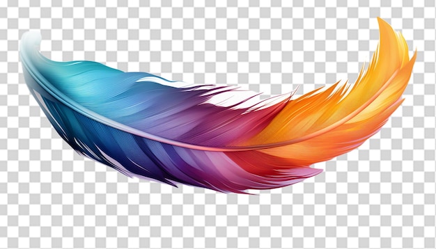 PSD a beautiful colorful feather png
