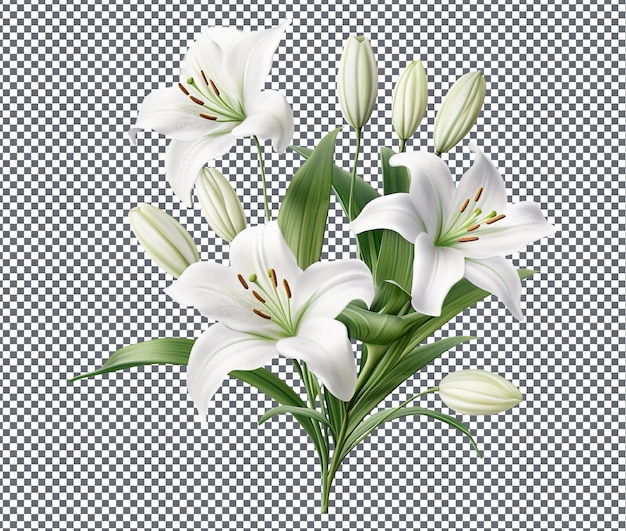 PSD beautiful easter lilies isolated on transparent background