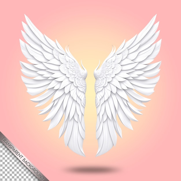 Beautiful and elegant wings transparent background